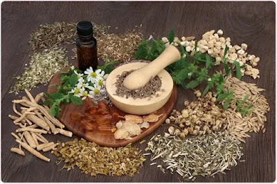 Herbal Remedies for Kidney Function