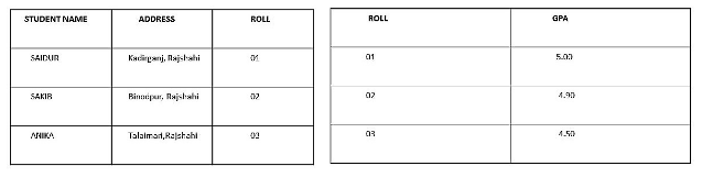 রিলেশনাল ডেটাবেজ, Relation Database