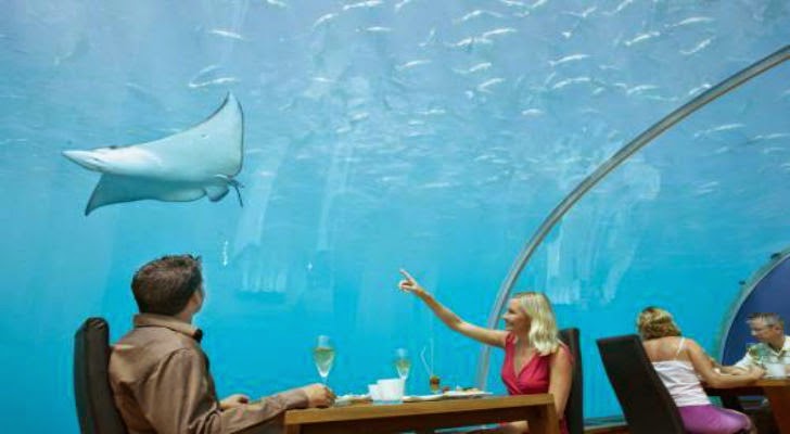 Ithaa Beautiful Under Sea Restaurant