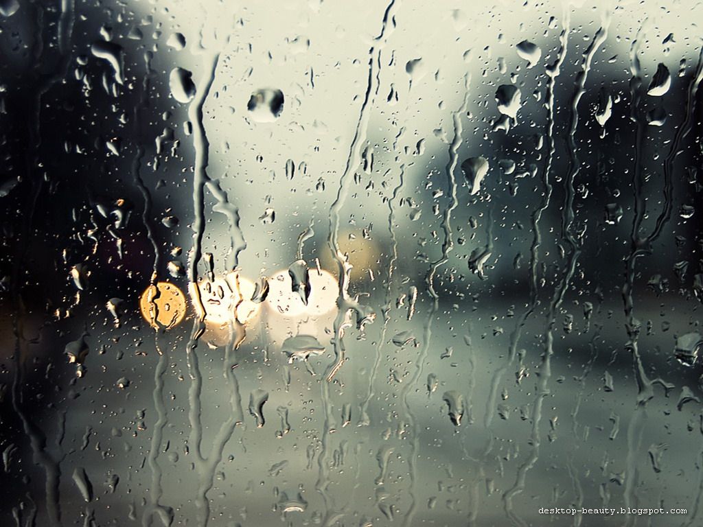For your Desktop:::: Rain Pictures  Rain Wallpapers 