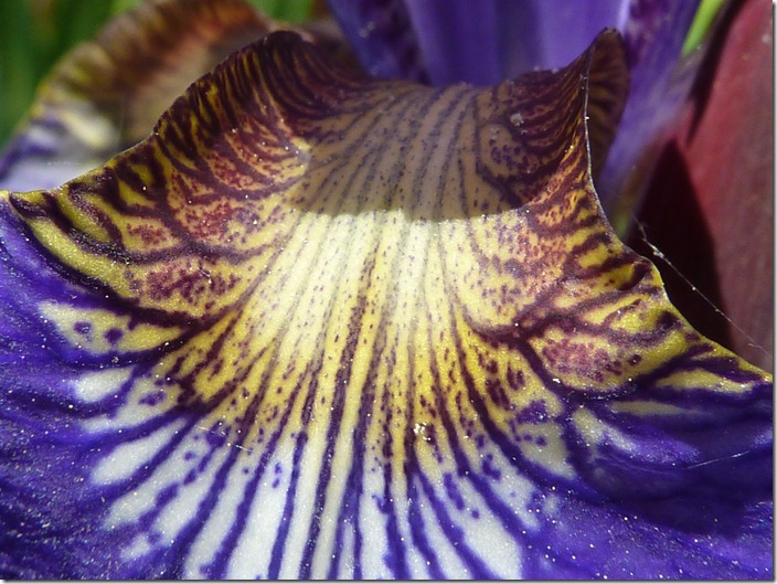 P1080957