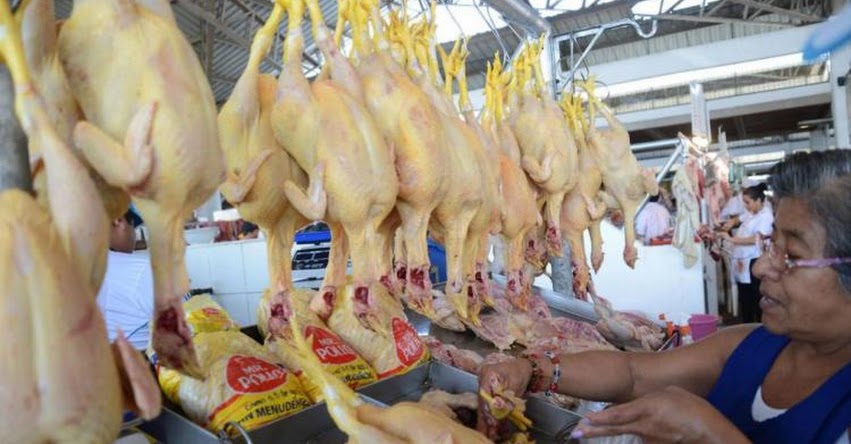 MINAGRI asegura oferta de carne de ave en el Perú libre de Influenza aviar - www.minagri.gob.pe