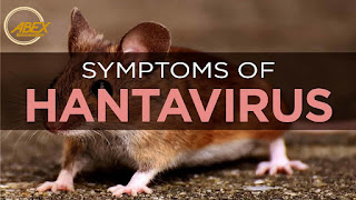 Hanta Virus! How much should you fear about the newly viral virus