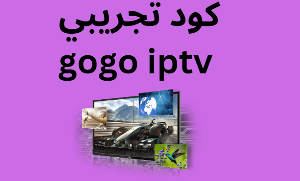 كود تجريبي gogo iptv