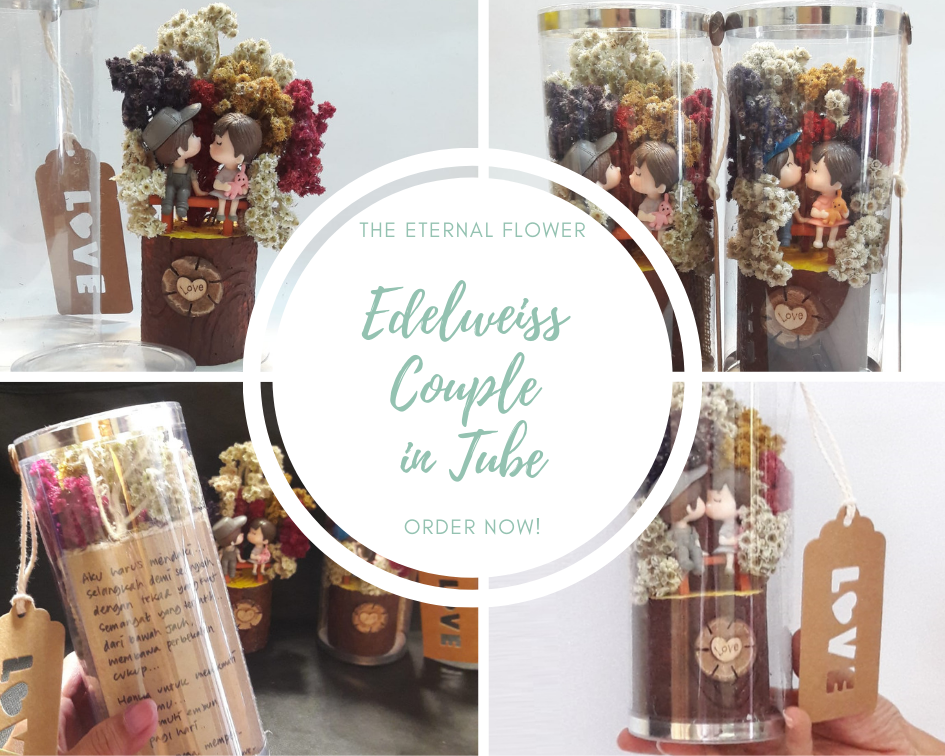  Bunga  Edelweis  Gift Souvenir Shop