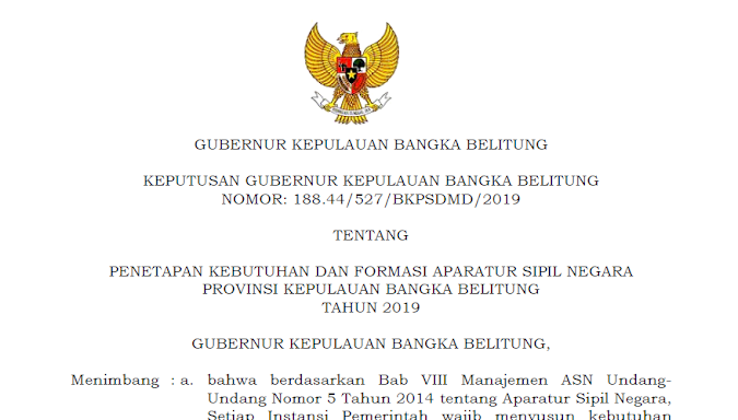 PENETAPAN KEBUTUHAN DAN FORMASI APARATUR SIPIL NEGARA PROVINSI KEPULAUAN BANGKA BELITUNG TAHUN 2019