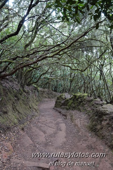 Sendero de los Sentidos - Sendero de los Enigmas