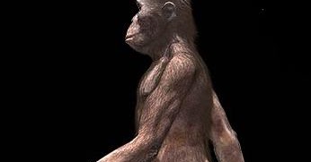 Dunia Hewan Purba Australopithecus