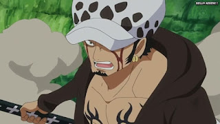 ワンピースアニメ ドレスローザ編 648話 トラファルガー・ロー かっこいい トラ男 Trafalgar Law | ONE PIECE Episode 648