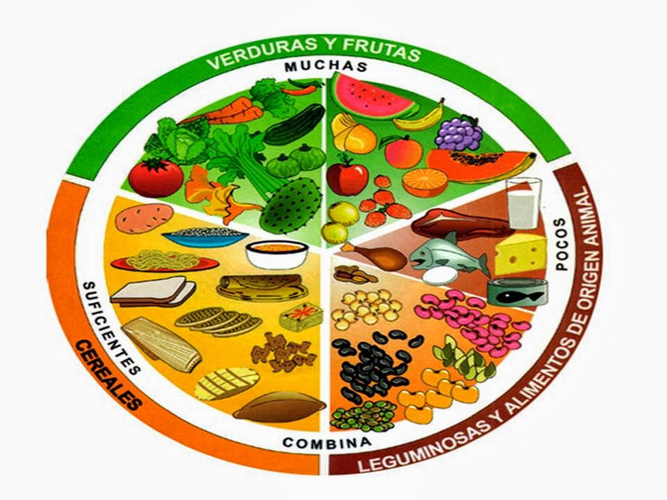 El Plato Del Buen Comer Para Ninos De Primaria Imagui