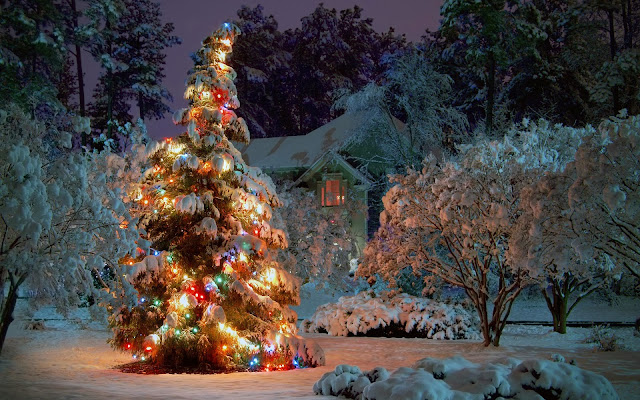 Best Best Beautiful Festival Christmas Tree Wallpapers