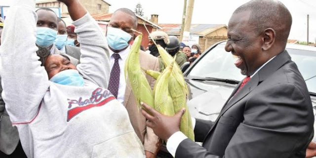 President William Ruto buying maize
