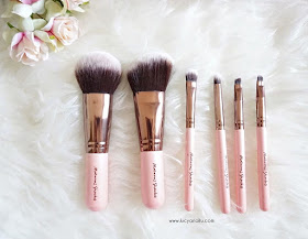 Masami Shouko Limited Edition Puppy Brush Set review