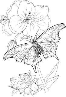 butterfly coloring pages,flowerbutterfly coloring pages