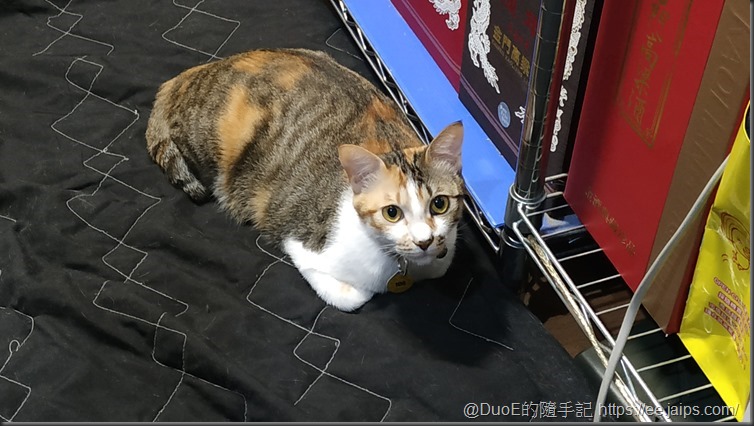 無辜Mo