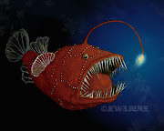 Deep Sea Angler Fish Illustration