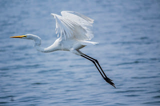 Kumarakom