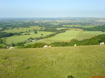 South Downs National Park South Downs Chanctonbury Ring Cissbury Ring Bignor Hill Truleigh Hill Devil’s Dyke Brighton Worthing Steyning Washington Storrington Ashington Hills downs sheep countryside England English South East England Arundel Amberley pond sheep dip dew pond South Downs Way drovers’ tracks vegetation woodland woods Arun river valley Adur river valley scarp slope downland Wiston Park A24 Shoreham by Sea Sompting Chiltington Fulking Poynings A23 Brighton Slindon Chichester Parham House Winchester Midhurst Pulborough Petworth rolling gentle cattle Arundel Castle Bury 