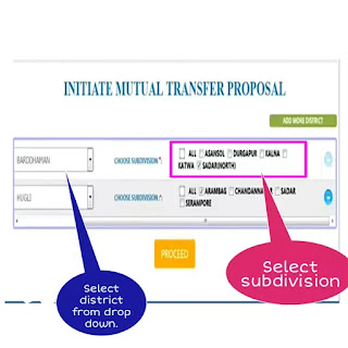 Online Mutual Transfer