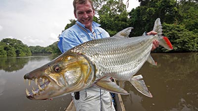 Ikan Yang Sangat Mematikan