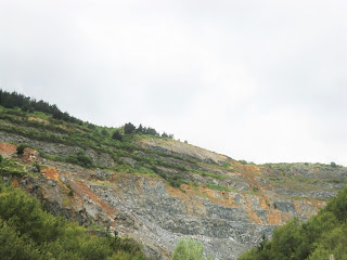 Frente de la cantera Larrasko, Arrigorriaga, Bizkaia