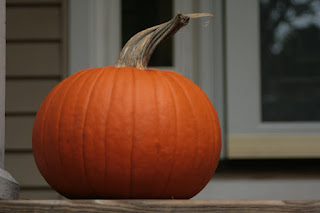 Fall Pics
