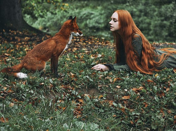 Alexandra Bochkareva fotografia mulheres garotas ruivas raposas fantasia contos fada mulheres modelos animais emoção sensibilidade neve