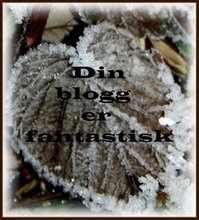 Din_blogg_er_fantastisk frå Astrid!