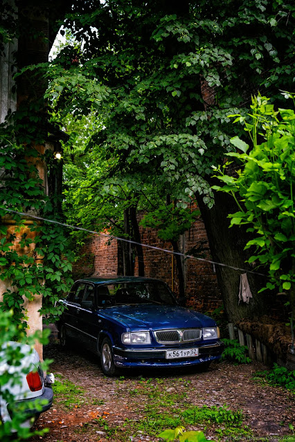 Волга припаркована до зеленым деревом у кирпичной стены