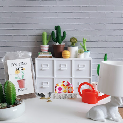 One-twelfth scale modern miniature scene of a cacti collector getting ready to strike some succulent leaves, On the table are a bag of potting mix, a trowel, a pair of scissors, a sheet of paper, a watering can and some spare pots. On top of the cabinet behind the table is a row of different types of cacti on display.