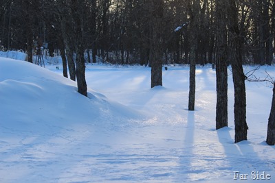 little June and sparkly snow