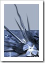 abstract iPhone wallpaper 320×480 90 unique cool wallpapers