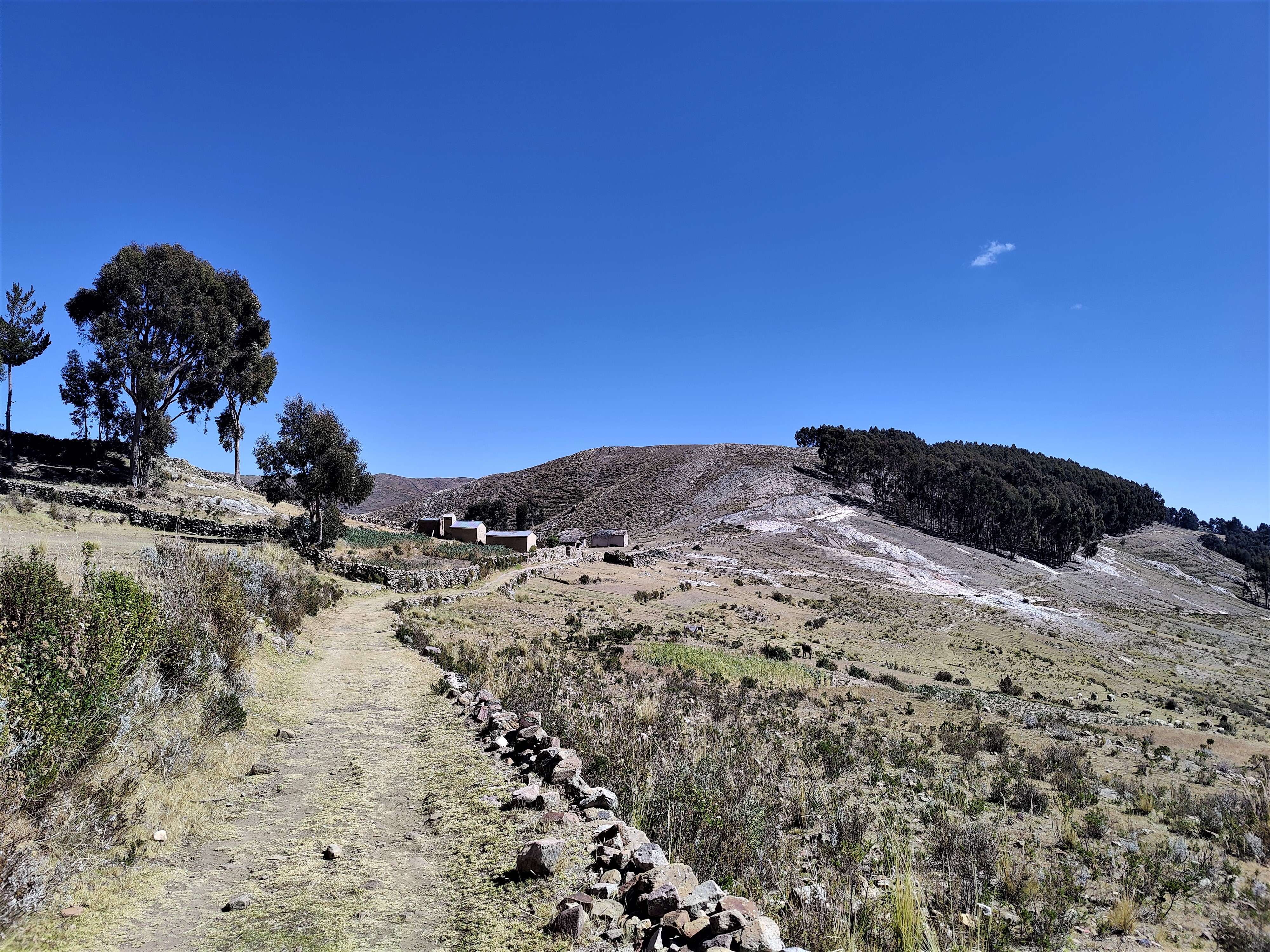 Titicaca -järvi