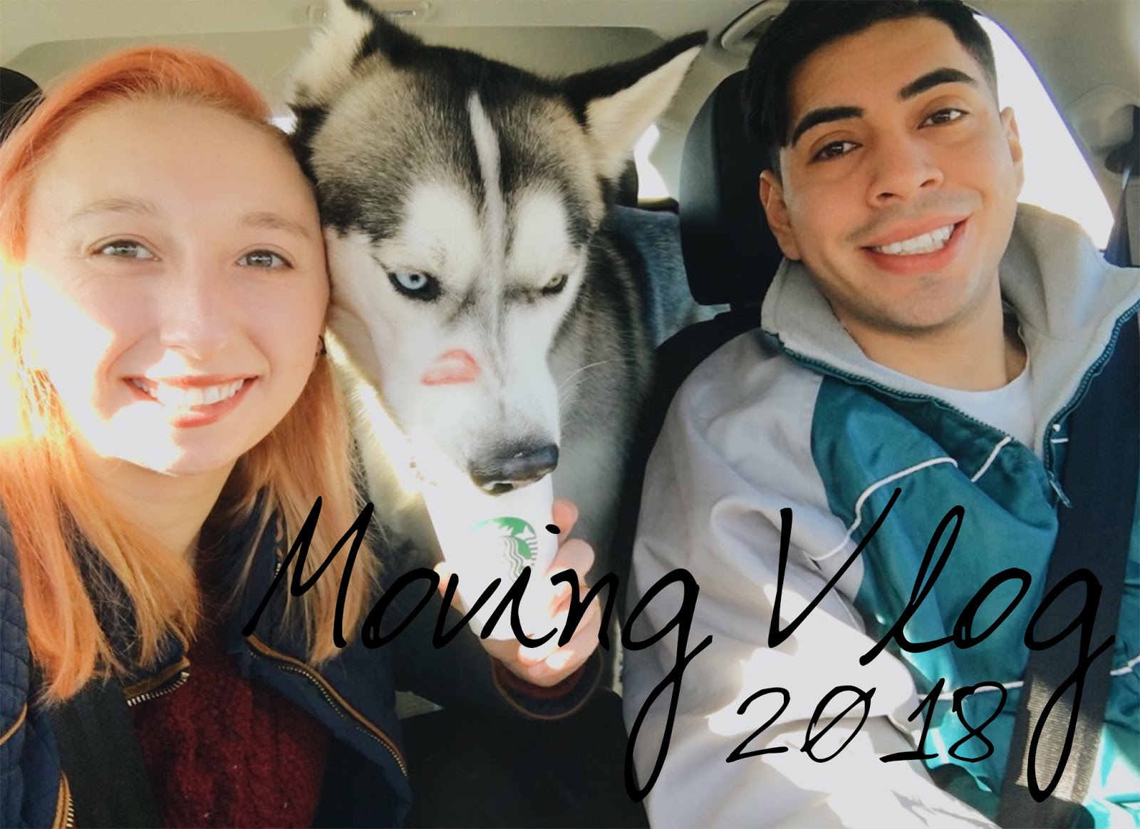 Moving Vlog