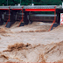 Fuertes lluvias dejan 15 muertos en Japón