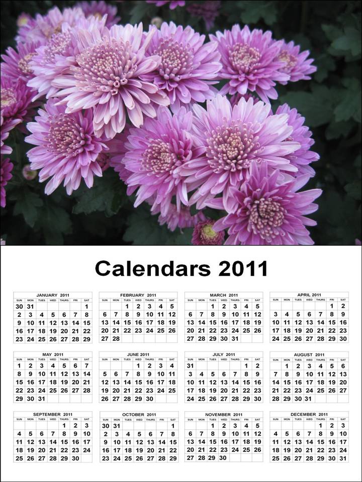 2011 Calendar At A Glance Printable. November printable new years day falls on one saturday, and gif calendar Pdf