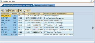 SAP HANA, SAP HANA Exam, SAP HANA Exam Prep, SAP HANA Preparation, SAP HANA Career, SAP HANA Jobs, SAP HANA Skills, SAP Netweaver BI 7.0, BW (SAP Business Warehouse), SAP NetWeaver