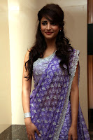 hd photos of shruti hasan in saree