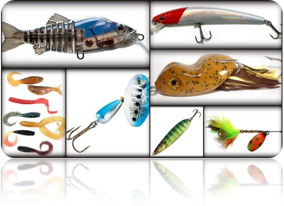 Different Types of Lures