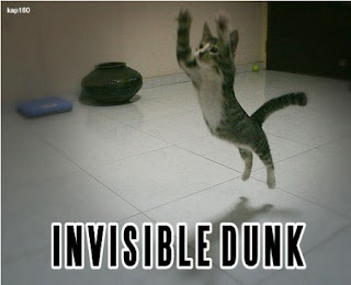 Invisible Dunk, funny cat, cat slam dunk, funny cat meme, cat meme