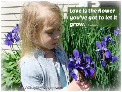 John Lennon quote, Emilie Barnes quote, Irises, grandchildren, love of gardening, Florals-Family-Faith, Cindy Rippe