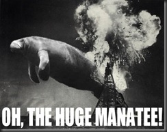 manatee