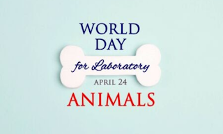 24 April: World Day For Animals in Laboratories