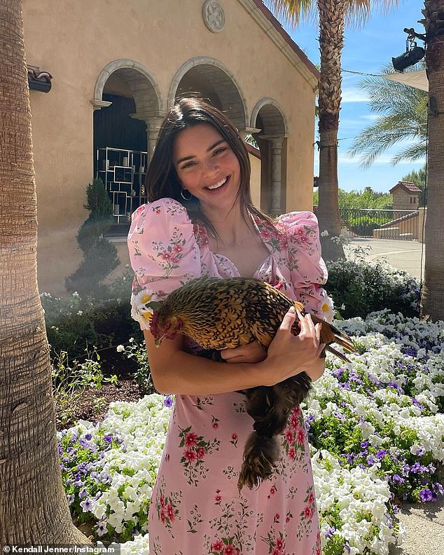 The price of Kendall Jenner's dress while celebrating Thanksgiving ... exceeds $ 2,000
