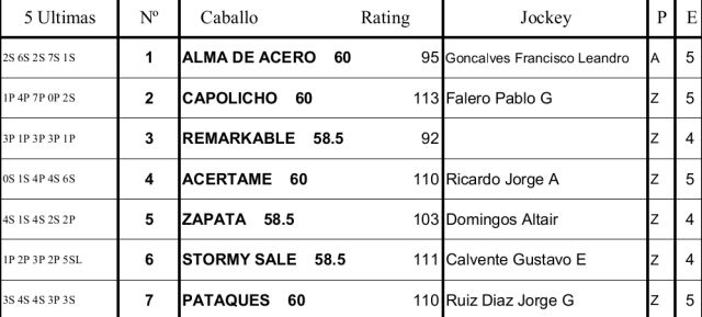 Programa Palermo Handicap Brasil