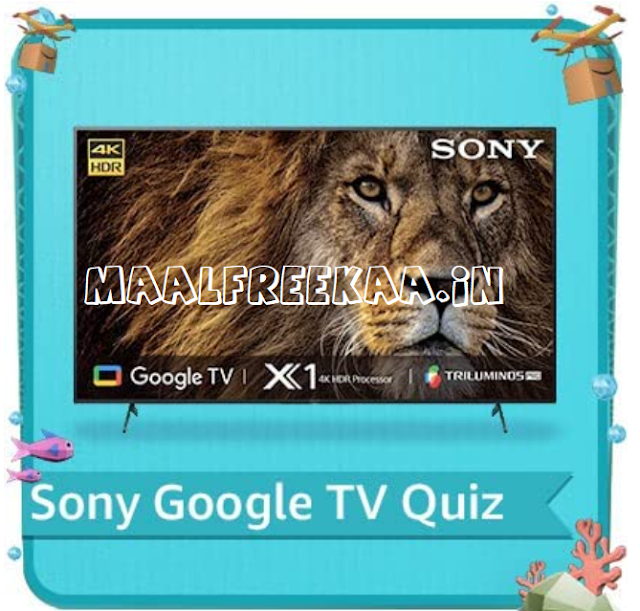 Amazon Sony Google TV Quiz Answer