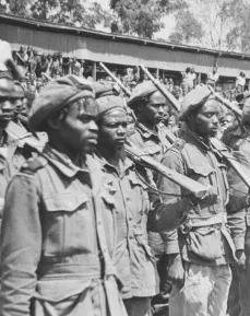 Kenya Land and Freedom Army (KLFA)