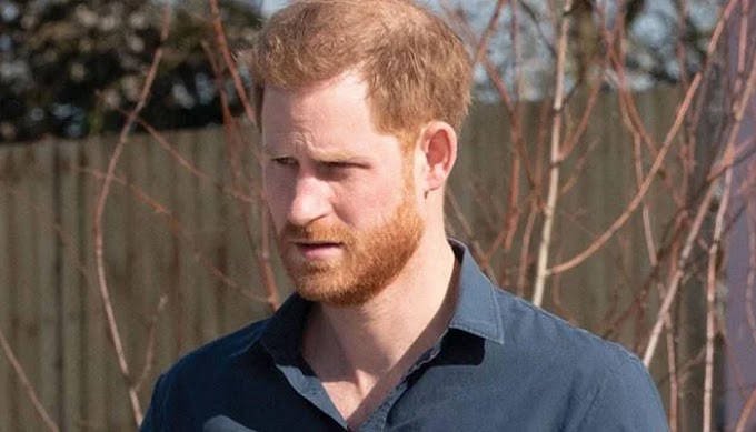 Prince Harry Grapples with Waning Popularity in His New Home Country: Challenges Ahead