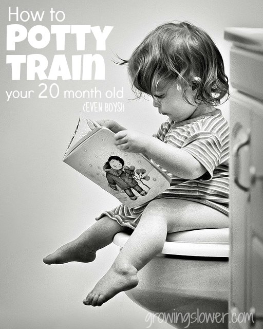 How to Potty Train a 20 Month Old Boy - Potty Training for 