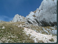 DSCN0926